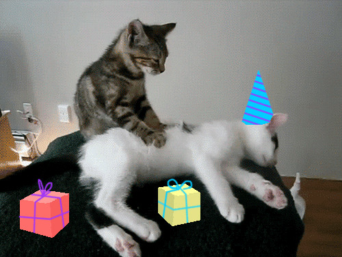 Best ideas about Funny Birthday Gif
. Save or Pin Mashup GIFs Find & on GIPHY Now.