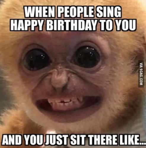 Best ideas about Funny Birthday Meme For Guys
. Save or Pin Best 25 Birthday memes for guys ideas on Pinterest Now.