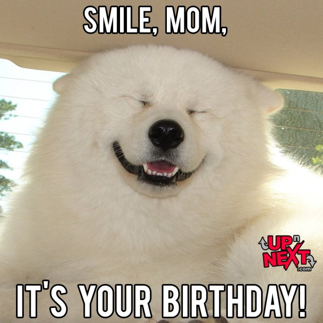 Best ideas about Funny Birthday Memes For Mom
. Save or Pin 20 Memorable Happy Birthday Mom Memes Now.
