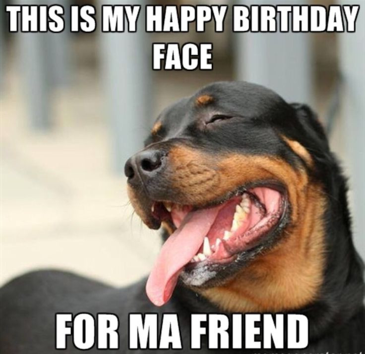 Best ideas about Funny Birthday Pic For Facebook
. Save or Pin 20 Funny Happy Birthday Memes Now.