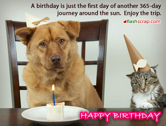 Best ideas about Funny Birthday Pics
. Save or Pin cake Orkut Scraps Now.