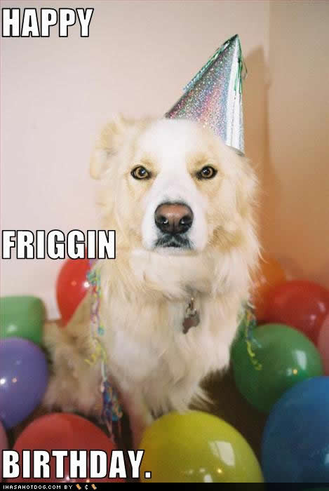 Best ideas about Funny Birthday Pictures
. Save or Pin Happy Birthday Quotes For Dogs QuotesGram Now.