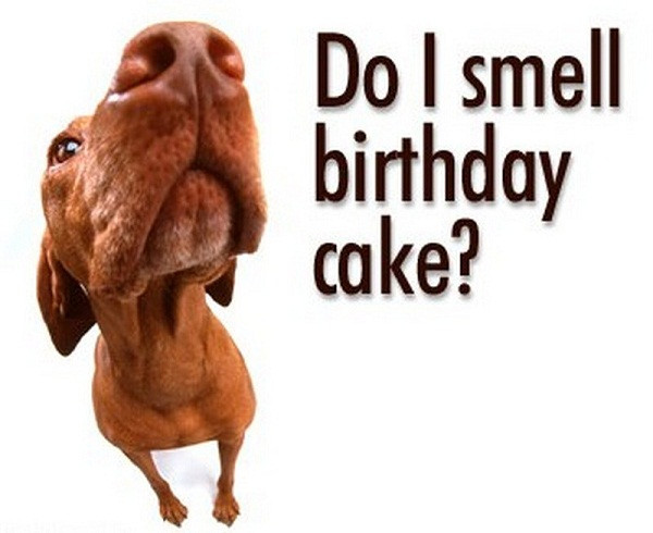 Best ideas about Funny Birthday Quotes For Man
. Save or Pin Funny Birthday Wishes Quotes and Funny Birthday Messages Now.