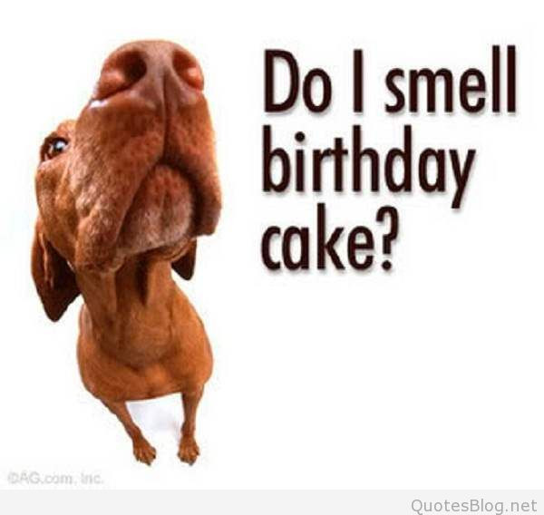 Best ideas about Funny Birthday Sayings
. Save or Pin Birthday Quotes QuotesBlog Now.