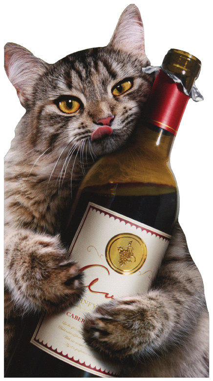 Best ideas about Funny Cat Birthday
. Save or Pin Cat Wine Bottle Avanti Oversized Funny Birthday Card by Now.
