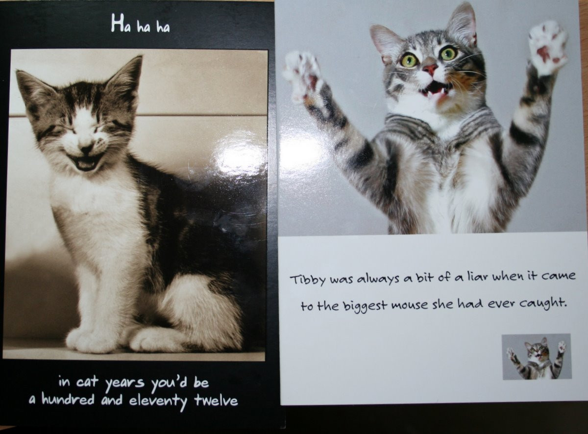 Best ideas about Funny Cat Birthday Cards
. Save or Pin Cute Cat Birthday Quotes QuotesGram Now.
