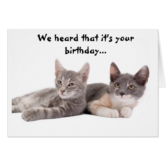 Best ideas about Funny Cat Birthday Cards
. Save or Pin Funny Cat Give Us Tuna Birthday Card Now.
