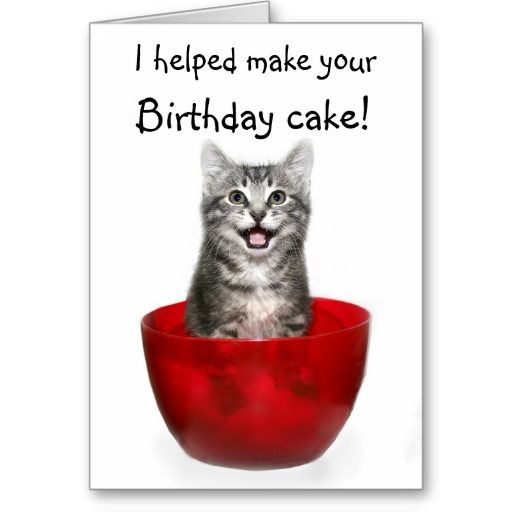 Best ideas about Funny Cat Birthday Cards
. Save or Pin 17 best images about Cat Birthday Cards on Pinterest Now.