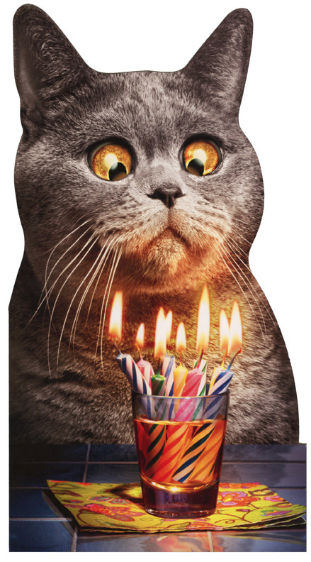 Best ideas about Funny Cat Birthday Cards
. Save or Pin Cat Flaming Shot Oversized Funny Birthday Card Now.
