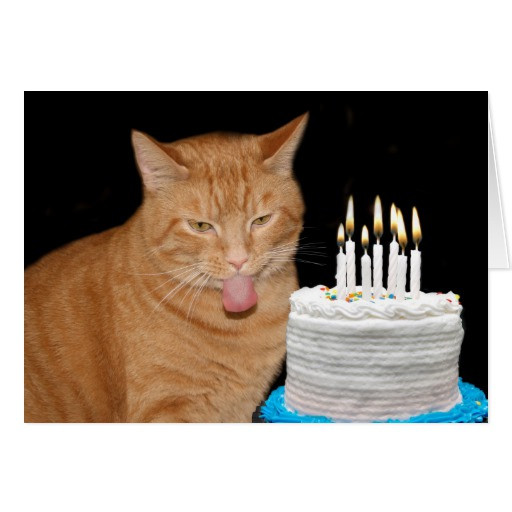 Best ideas about Funny Cat Birthday Cards
. Save or Pin Funny cat birthday card Now.