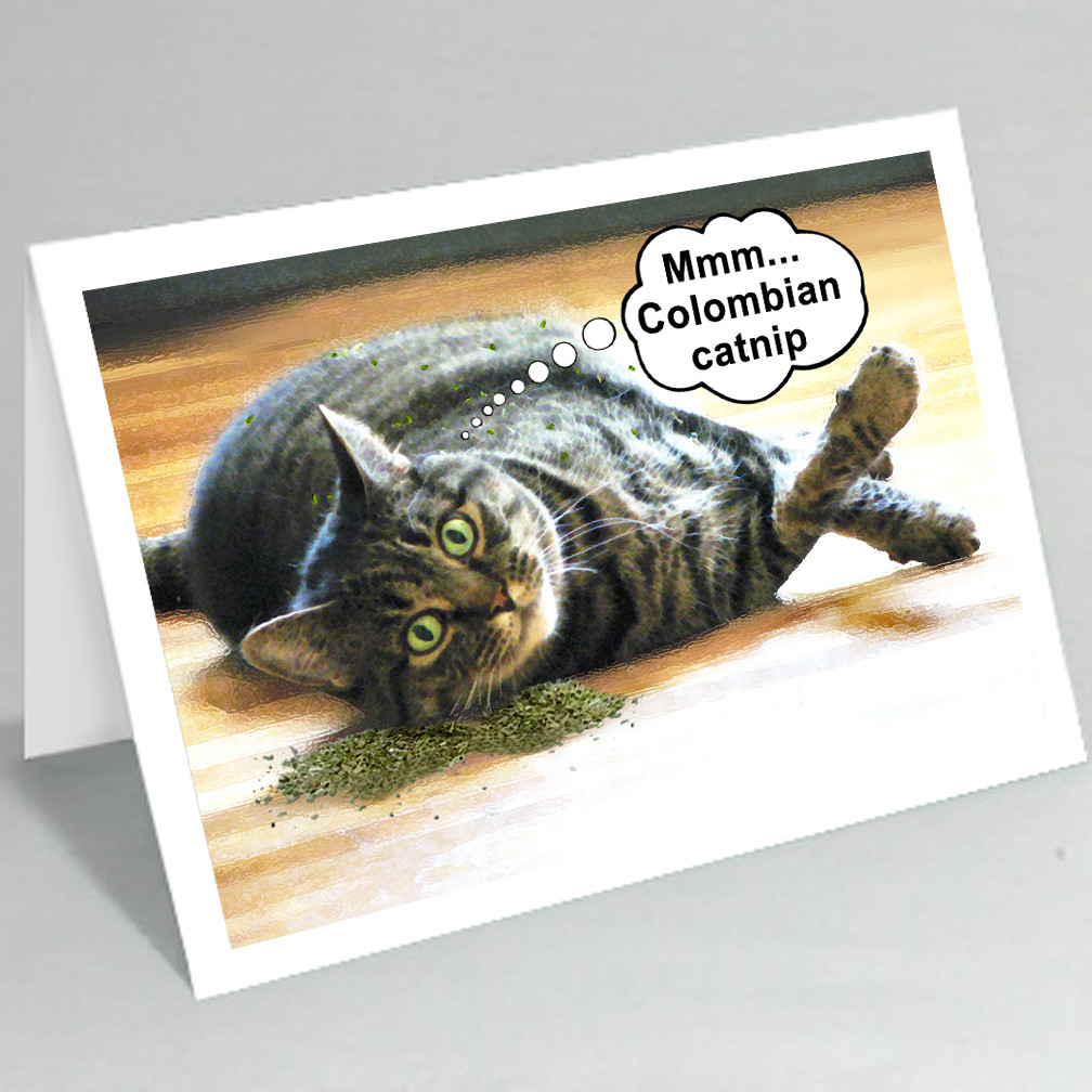 Best ideas about Funny Cat Birthday Cards
. Save or Pin Stamped personalized wedding ts jewelry key chains Now.