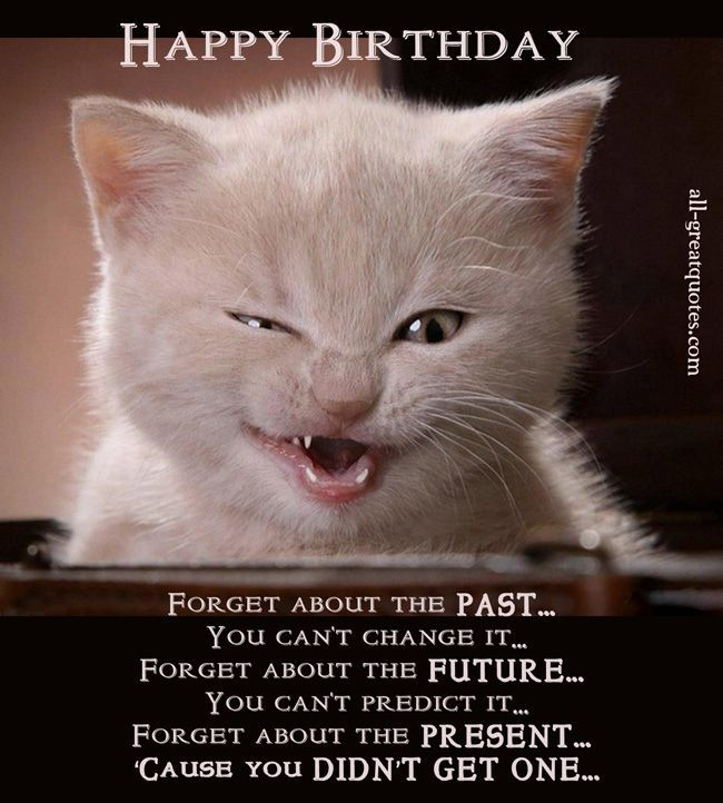 Best ideas about Funny Cat Birthday Cards
. Save or Pin Happy Birthday ALS Now.