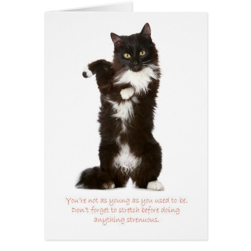 Best ideas about Funny Cat Birthday Cards
. Save or Pin Funny Cat Birthday Card Now.
