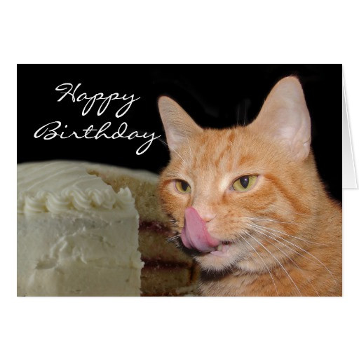 Best ideas about Funny Cat Birthday Cards
. Save or Pin Funny cat Birthday Card Now.