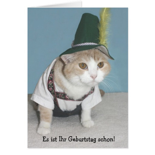Best ideas about Funny Cat Birthday Cards
. Save or Pin Funny Cat German Birthday Greeting Card Now.
