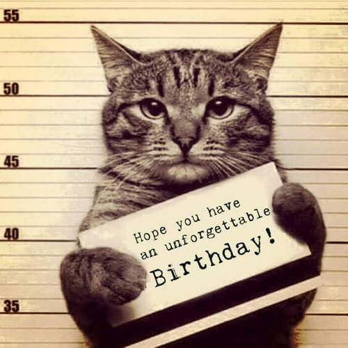Best ideas about Funny Cat Birthday
. Save or Pin 45 Cat Birthday Memes Now.