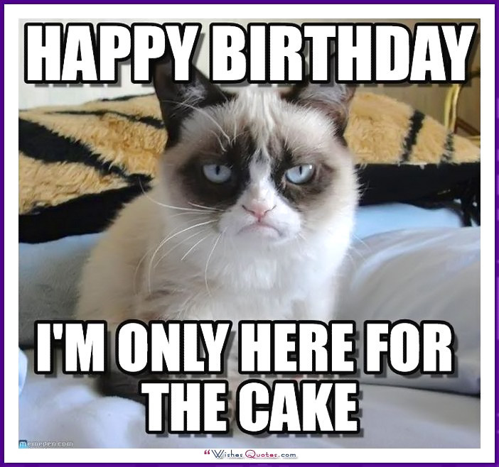 Best ideas about Funny Cat Birthday
. Save or Pin Happy Birthday Memes with Funny Cats Dogs and Cute Animals Now.