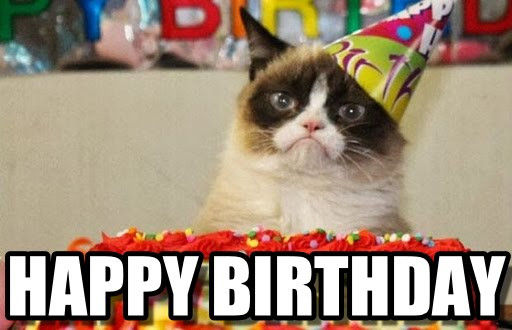 Best ideas about Funny Cat Birthday Meme
. Save or Pin 20 Adorbs Happy Birthday Cat Memes Now.