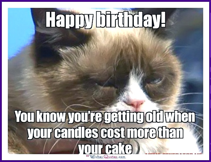 Best ideas about Funny Cat Birthday Meme
. Save or Pin Happy Birthday Memes with Funny Cats Dogs and Cute Animals Now.