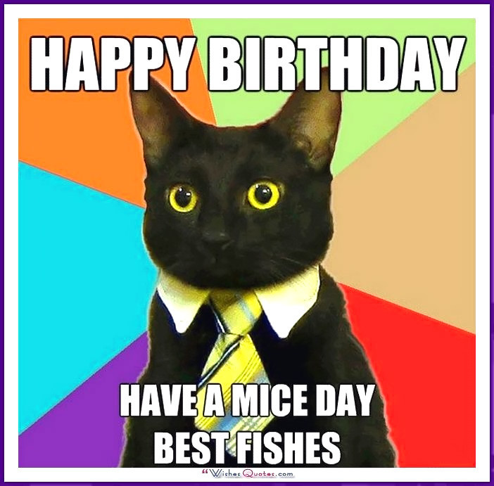 Best ideas about Funny Cat Birthday Meme
. Save or Pin Happy Birthday Memes with Funny Cats Dogs and Cute Animals Now.