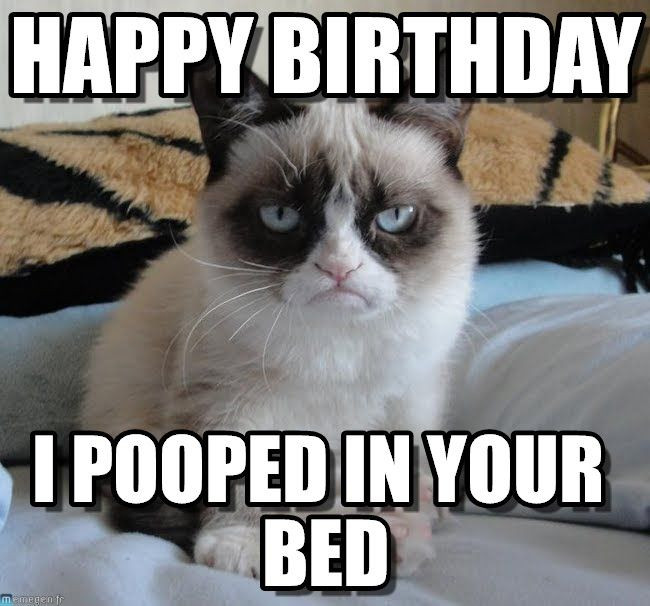 Best ideas about Funny Cat Birthday Meme
. Save or Pin Incredible Happy Birthday Memes for you Top Collections Now.