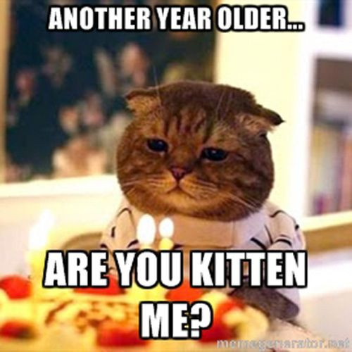 Best ideas about Funny Cat Birthday Meme
. Save or Pin Incredible Happy Birthday Memes for you Top Collections Now.