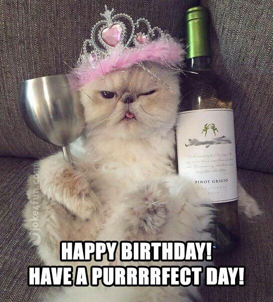 Best ideas about Funny Cat Birthday Meme
. Save or Pin 20 Cat Birthday Memes That Are Way Too Adorable Now.