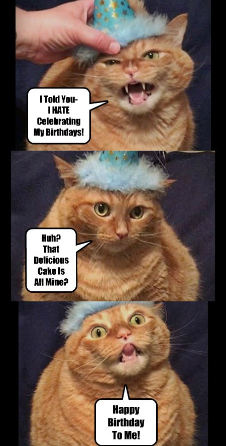 Best ideas about Funny Cat Birthday Meme
. Save or Pin I Can Has Cheezburger delicious Funny Animals line Now.