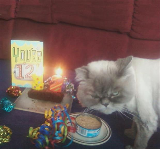 Best ideas about Funny Cat Birthday Pic
. Save or Pin Lolcats birthday Lolcats n Funny Cat funny Now.