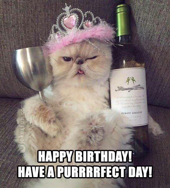 Best ideas about Funny Cat Birthday Pic
. Save or Pin 20 Cat Birthday Memes That Are Way Too Adorable Now.