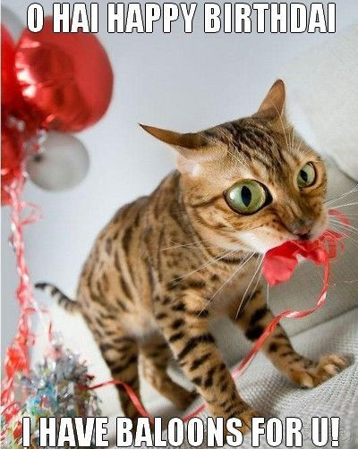 Best ideas about Funny Cat Birthday Pic
. Save or Pin 957 best images about "MEOWY" Birthday on Pinterest Now.