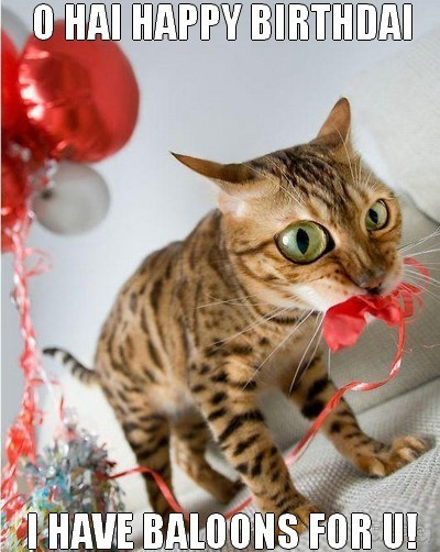 Best ideas about Funny Cat Happy Birthday
. Save or Pin 41 Best Funny Birthday Wishes For Birthday Boy Girl Aunt Now.