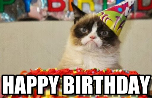 Best ideas about Funny Cat Happy Birthday
. Save or Pin 20 Adorbs Happy Birthday Cat Memes Now.