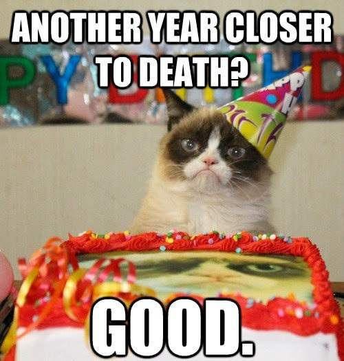 Best ideas about Funny Cat Happy Birthday
. Save or Pin 25 Happy Birthday Funny Quotes – Quotes Words Sayings Now.