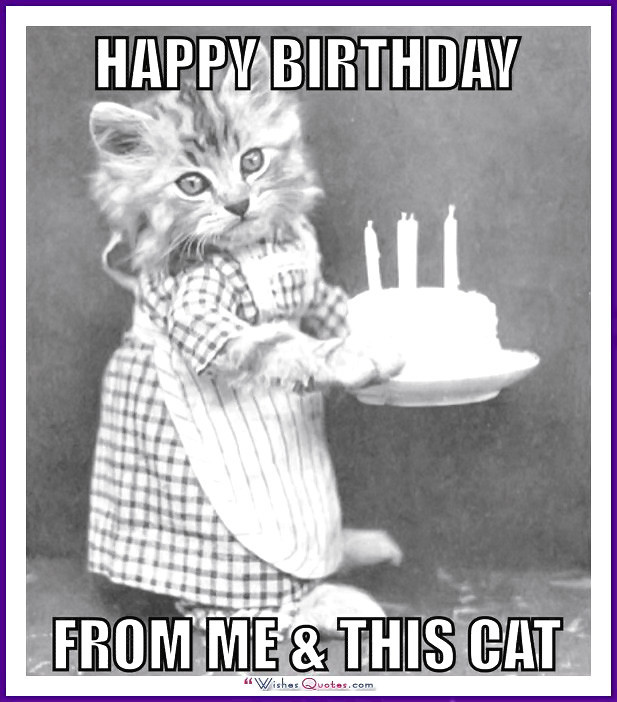 Best ideas about Funny Cat Happy Birthday
. Save or Pin Happy Birthday Memes with Funny Cats Dogs and Cute Animals Now.