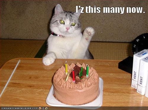 Best ideas about Funny Cats Birthday
. Save or Pin roiremoldtrig happy birthday quotes funny Now.