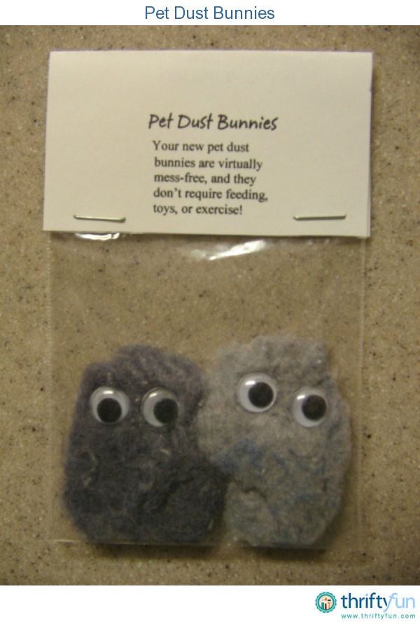 Best ideas about Funny DIY Gifts
. Save or Pin 25 best ideas about Funny Gag Gifts on Pinterest Now.
