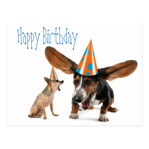 Best ideas about Funny Dog Birthday
. Save or Pin Birthday Fun Dog Quotes QuotesGram Now.