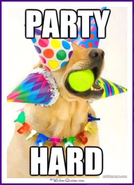 Best ideas about Funny Dog Birthday
. Save or Pin Happy Birthday Memes with Funny Cats Dogs and Cute Now.