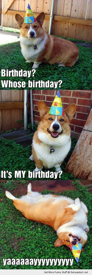 Best ideas about Funny Dog Birthday
. Save or Pin Birthday Quotes Memes Animals QuotesGram Now.