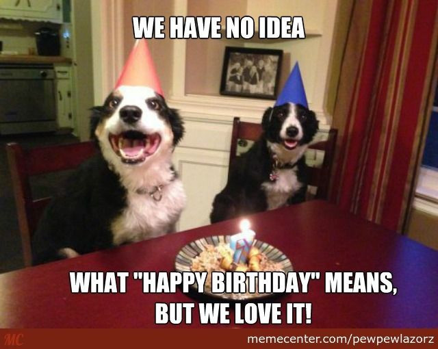 Best ideas about Funny Dog Birthday
. Save or Pin Best 25 Happy birthday dog meme ideas on Pinterest Now.