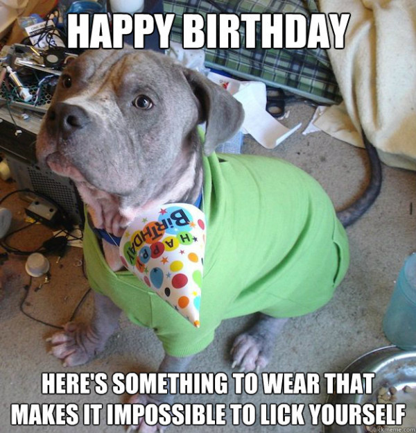 Best ideas about Funny Dog Birthday Meme
. Save or Pin Incredible Happy Birthday Memes for you Top Collections Now.