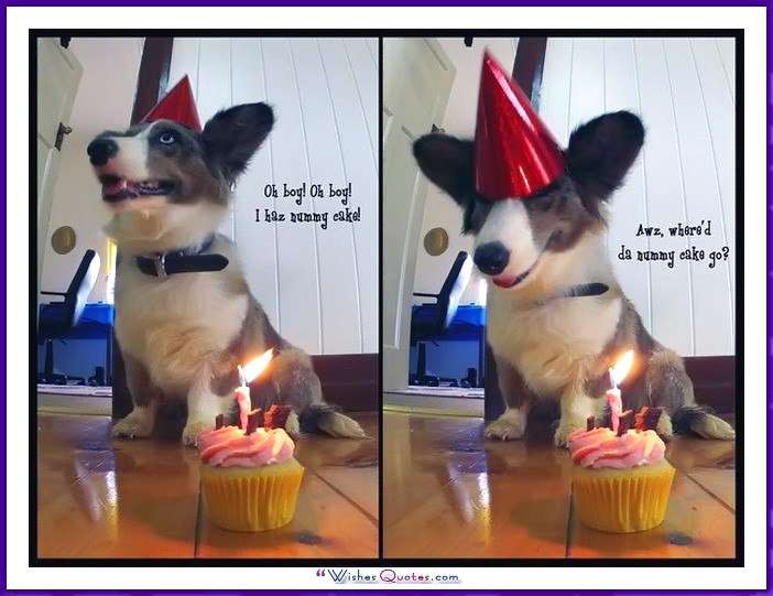 Best ideas about Funny Dog Birthday Meme
. Save or Pin Happy Birthday Memes with Funny Cats Dogs and Cute Now.