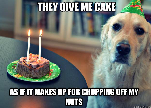 Best ideas about Funny Dog Birthday Meme
. Save or Pin "Sad Birthday Dog" Meme Selection Now.