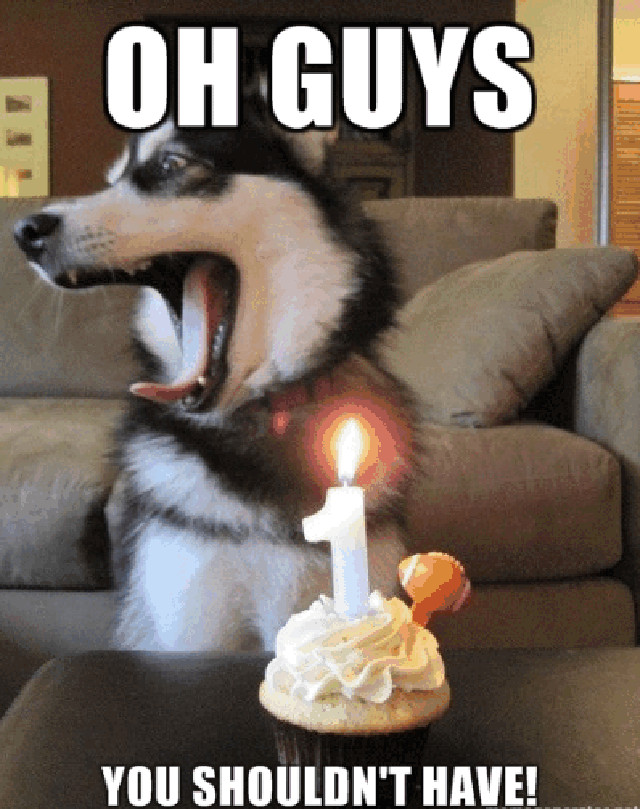 Best ideas about Funny Dog Happy Birthday
. Save or Pin Dog Birthday Quotes QuotesGram Now.
