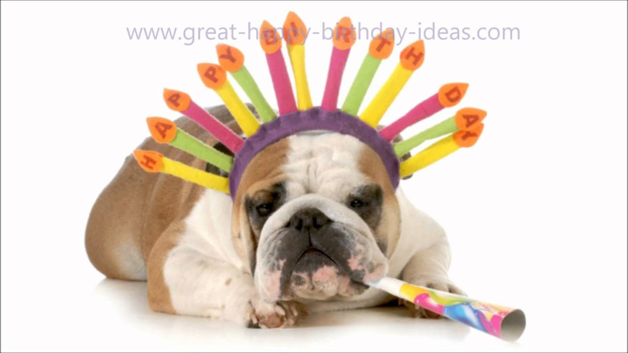 Best ideas about Funny Dog Happy Birthday
. Save or Pin Funny Dog Happy Birthday Song Now.