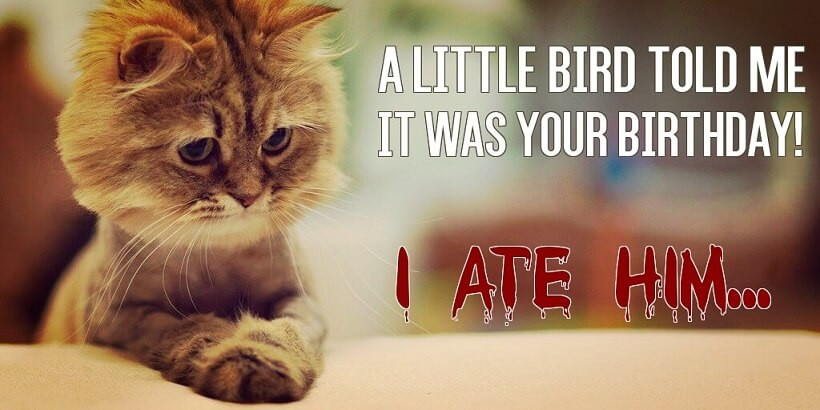 Best ideas about Funny Happy Birthday Cat
. Save or Pin Funny Birthday meme Now.