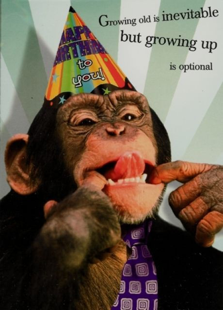 Best ideas about Funny Happy Birthday For Men
. Save or Pin Happy Birthday to the Monkey in my life PARIS Let s Now.