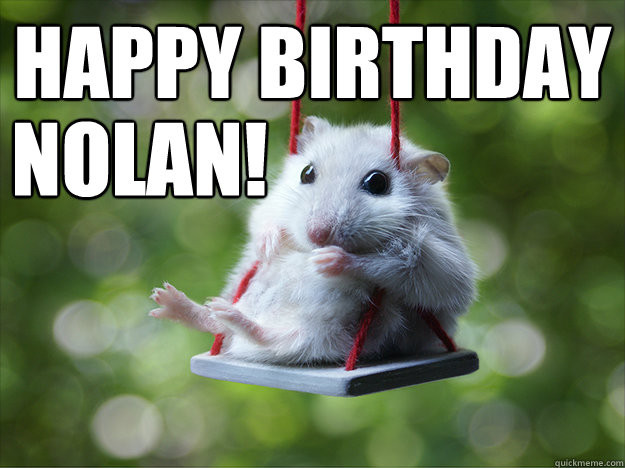 Best ideas about Funny Happy Birthday Image
. Save or Pin 30 Most Funny Hamster Meme And s Now.