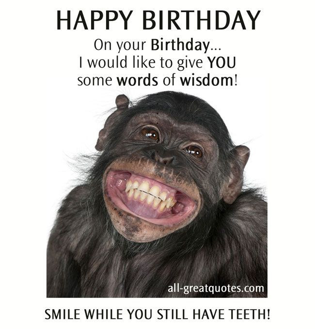 Best ideas about Funny Happy Birthday Pics
. Save or Pin Quotes Birthday Cards Pinterest Now.